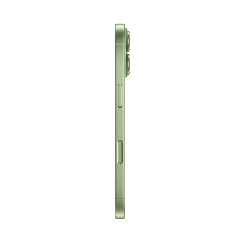 Apple iPhone 17 256GB Only eSim Sage